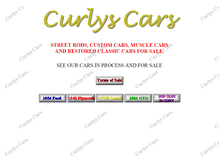 Tablet Screenshot of curlyscars.com